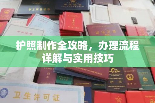 西城护照制作全攻略，办理流程详解与实用技巧
